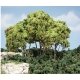 Forest Canopy(TM) - Kit - 151 Cu. In. - 2474 Cu. Cm. -- Light Green, All Scales, Woodland Scenics 1660