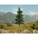 Caucasian Fir Tree -- 5-11/16′ 14.5cm, HO, Noch Gmbh & Co 21811