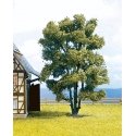 Trees -- Acacia Muli-Trunk - 15 cm, HO, Noch Gmbh & Co 21660