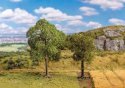 Lime and Checker Trees -- 1 of Each, HO, Faller Gmbh 181801