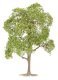 Lime and Checker Trees -- 1 of Each, HO, Faller Gmbh 181801