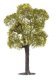 Lime and Checker Trees -- 1 of Each, HO, Faller Gmbh 181801