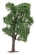 Acacia Tree, All Scales, Faller Gmbh 181704