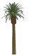 Professional Series Phoenix Palm Tree -- 8′ 20.3cm Tall, O, JTT Miniature Tree 96045