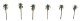 Palm Trees - Professional Series -- 1-1/2′ 3.8cm pkg(6), Z, JTT Miniature Tree 94235