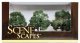 Oak Trees - SceneScapes(TM) -- 3 - 3-1/2′ 7.6 - 8.9cm pkg(3), HO, Bachmann Industries 32013