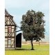 Trees Deciduous -- Mountain Ash (Bird Berry) 4-5/8′, All Scales, Noch Gmbh & Co 21650
