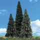 Woodland Classic Trees(R) Ready Made - Forever Green -- 7 to 8′ 17.7 to 20.3cm Tall pkg, All Scales, Woodland Scenics 3573