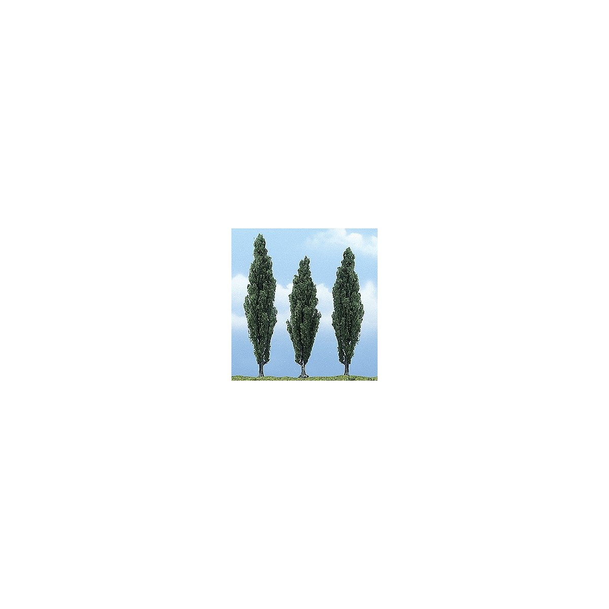 Ready Made Premium Trees(TM) - Deciduous -- Poplar - 1 Each 3-1/2, 4 & 4-1/2′ 8.9, 10.2, All Scales, Woodland Scenics 1611