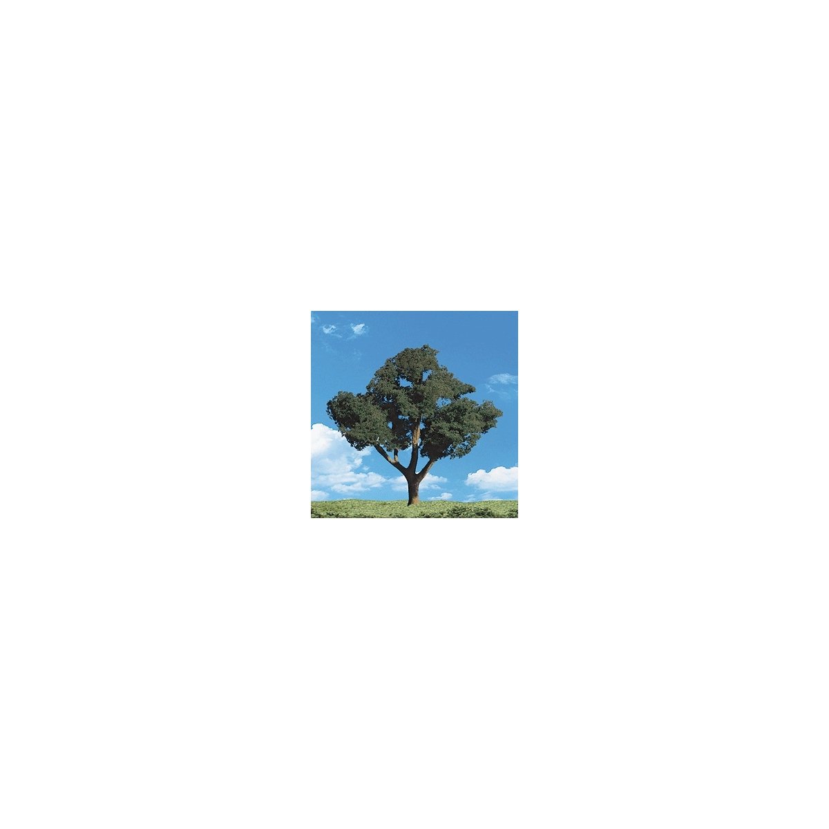 Woodland Classic Trees(R) Ready Made - Cool Shade -- 4 to 5′ 10.1 to 12.7cm Tall pkg(3), All Scales, Woodland Scenics 3511