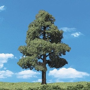 Woodland Classic Trees(R) Ready Made - Sun Kissed -- 5 to 6′ 12.7 to 15.2cm Tall pkg(2), All Scales, Woodland Scenics 3513