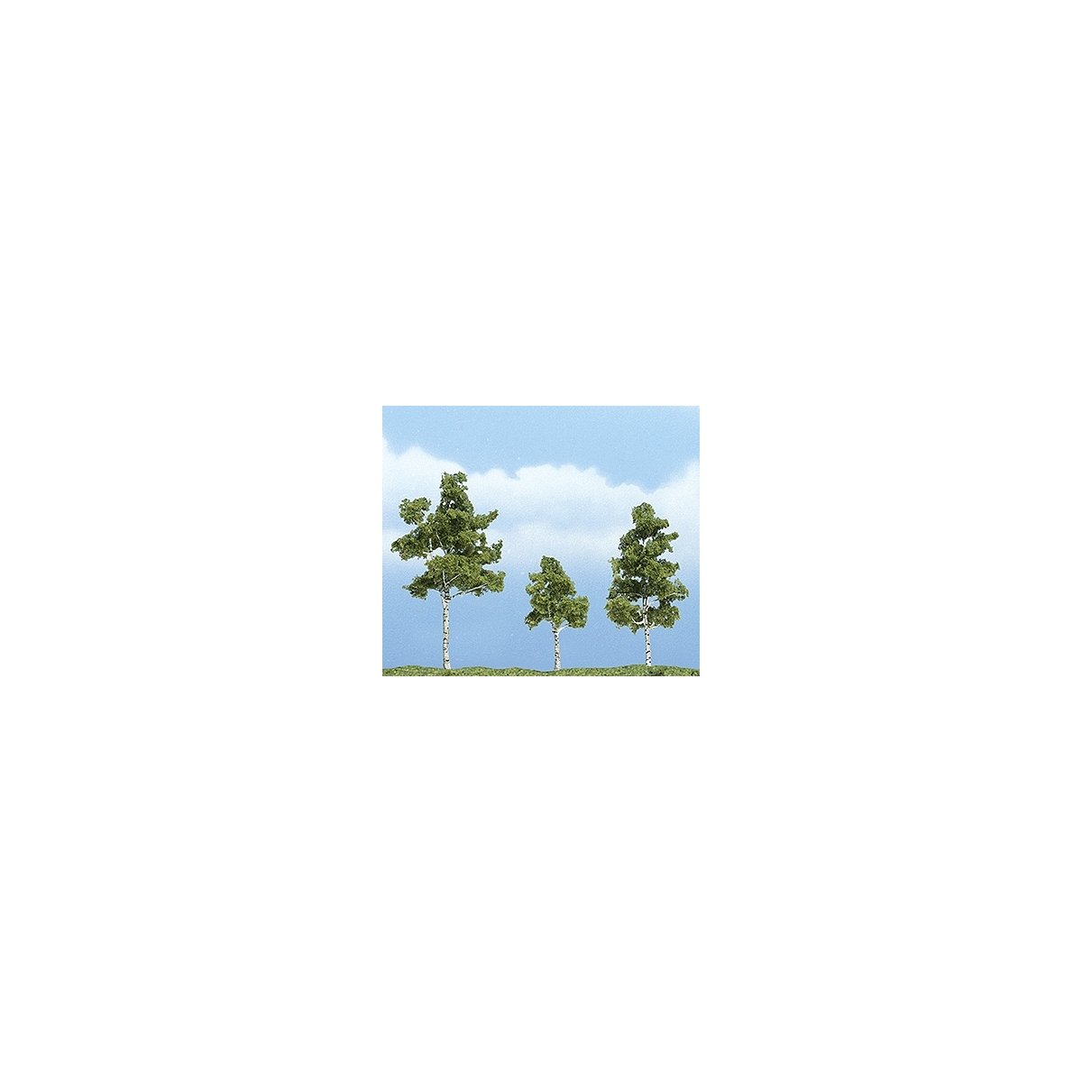 Ready Made Premium Trees(TM) - Deciduous -- Paper Birch One Each: 1-1/2, 2-1/4 & 2-3/4′ , All Scales, Woodland Scenics 1605
