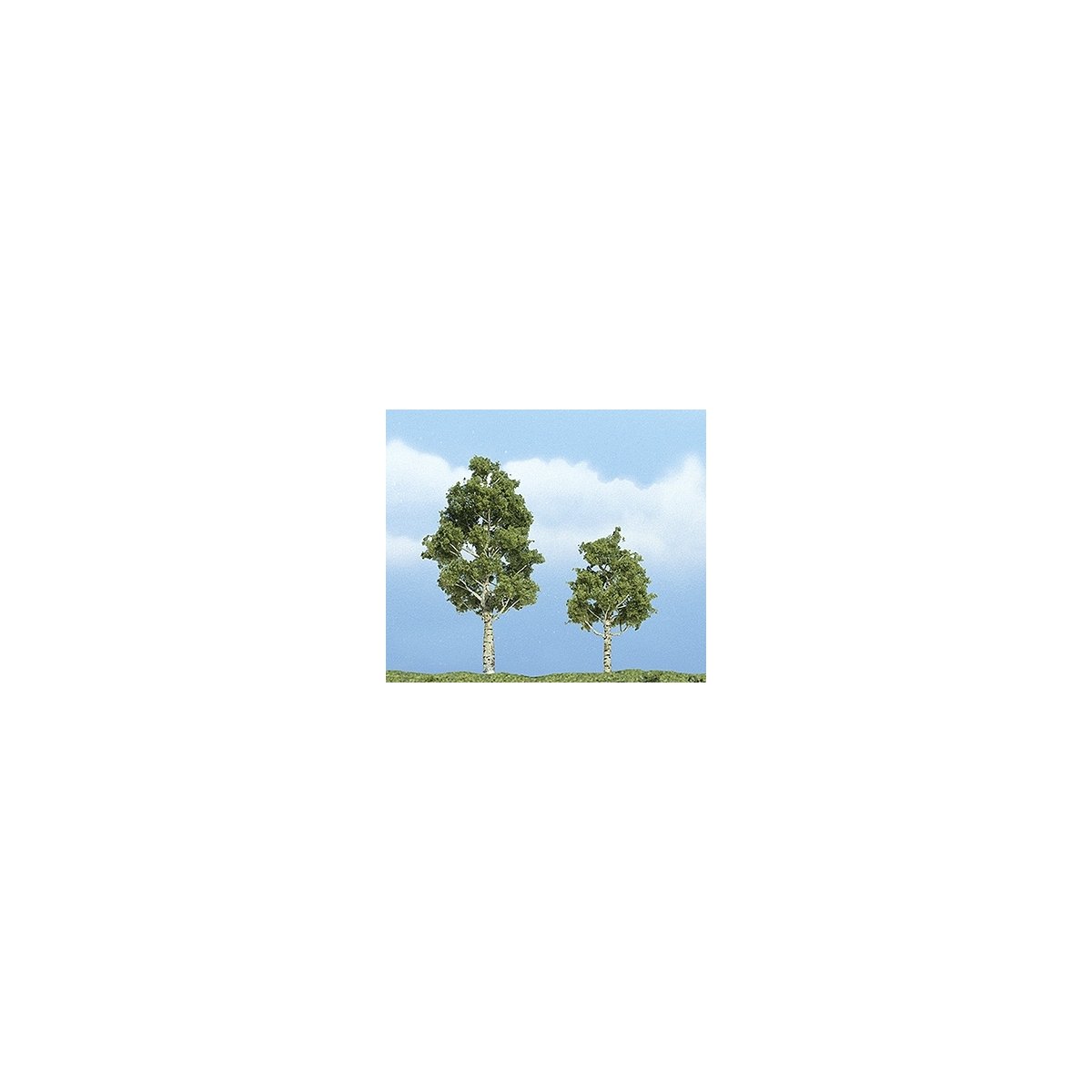 Ready Made Premium Trees(TM) - Deciduous -- Aspen - 1 Each: 2-1/4 & 2-3/4′ 5.7 & 7cm, All Scales, Woodland Scenics 1612