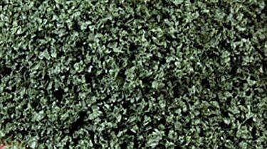 SuperLeaf Scale Model Leaf Flake - Shaker - 16oz 454g -- Olive Green, All Scales, Scenic Express 6152