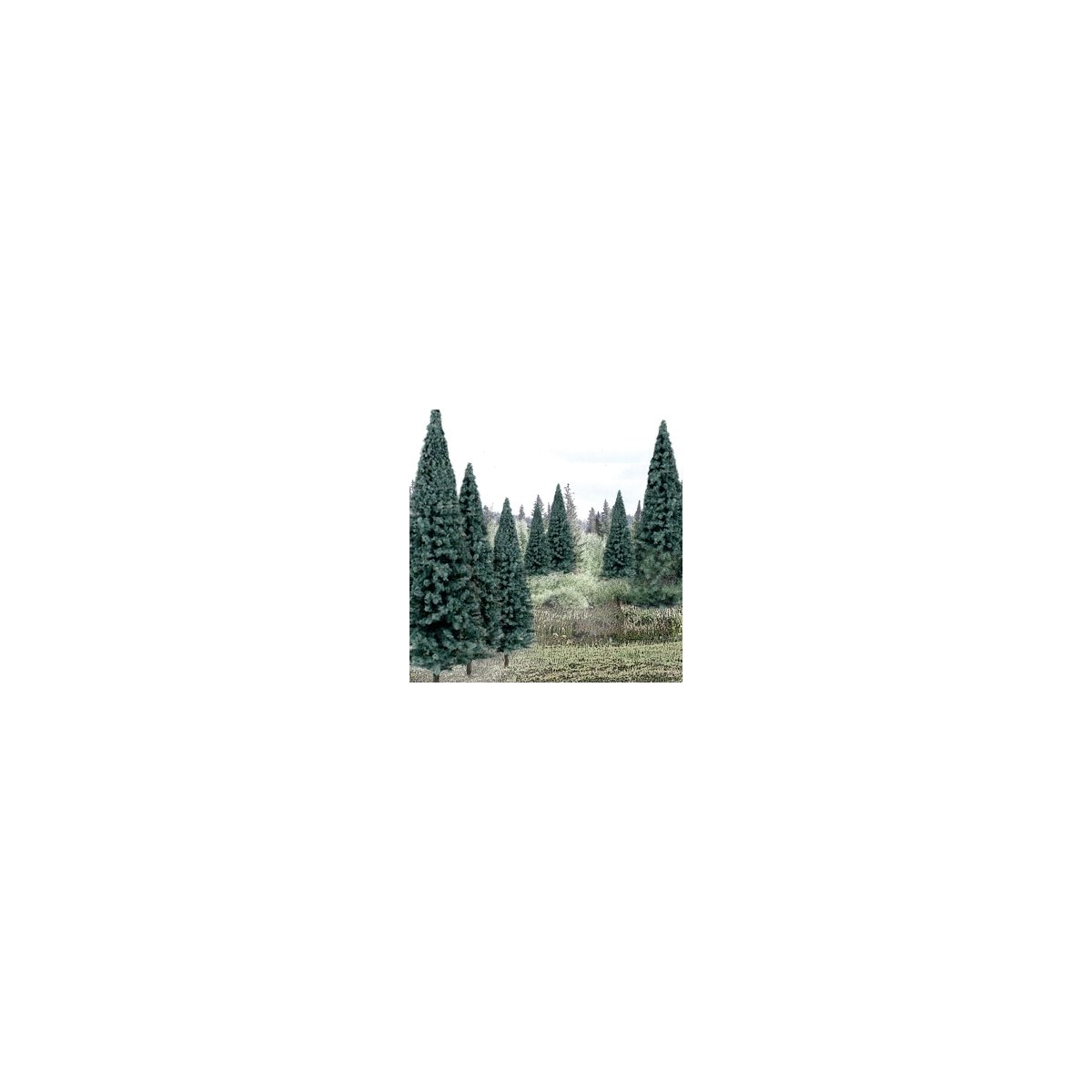 Blue Spruce Tree Value Pack - Ready Made Trees(TM) -- 4 to 6′ 10.2 to 15.2cm pkg(13), All Scales, Woodland Scenics 1588