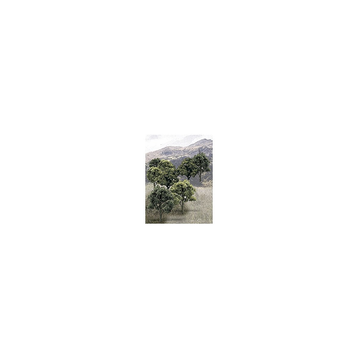 Mixed Green Deciduous Tree Pack - Ready Made Trees(TM) -- 3 to 5′ 7.6 to 12.7cm pkg(14), All Scales, Woodland Scenics 1572