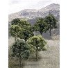 Mixed Green Deciduous Tree Pack - Ready Made Trees(TM) -- 3 to 5′ 7.6 to 12.7cm pkg(14), All Scales, Woodland Scenics 1572