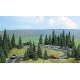 Flocked Pine Tree Set pkg(20), HO, Busch Gmbh & Co Kg 9740