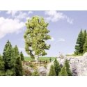 Double-Trunk Birch Tree -- 7-1/2′ 19cm Tall, All Scales, Noch Gmbh & Co 21641