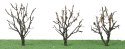 Tree w/Dry Foliage (Late Fall) -- 2 - 2-1/4′ 5.1 x 5.7cm pkg(3), N, JTT Miniature Tree 92221