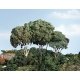 Forest Canopy(TM) - Kit - 151 Cu. In. - 2474 Cu. Cm. -- Medium Green, All Scales, Woodland Scenics 1661