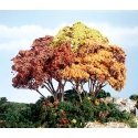 Forest Canopy(TM) - Kit - 151 Cu. In. - 2474 Cu. Cm. -- Autumn Mix, All Scales, Woodland Scenics 1663
