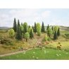Mixed Forest Trees -- 2 - 5-1/2′ 5-14cm Tall pkg(10), All Scales, Noch Gmbh & Co 26911