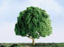 Oak Trees - Professional Series -- 1-1/2′ 3.8cm pkg(4), N, JTT Miniature Tree 94261