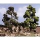 Realistic Trees Kits(TM) - Green Deciduous -- Medium Green - 3 to 7′ 7.6 to 17.8cm Tall, All Scales, Woodland Scenics 1112