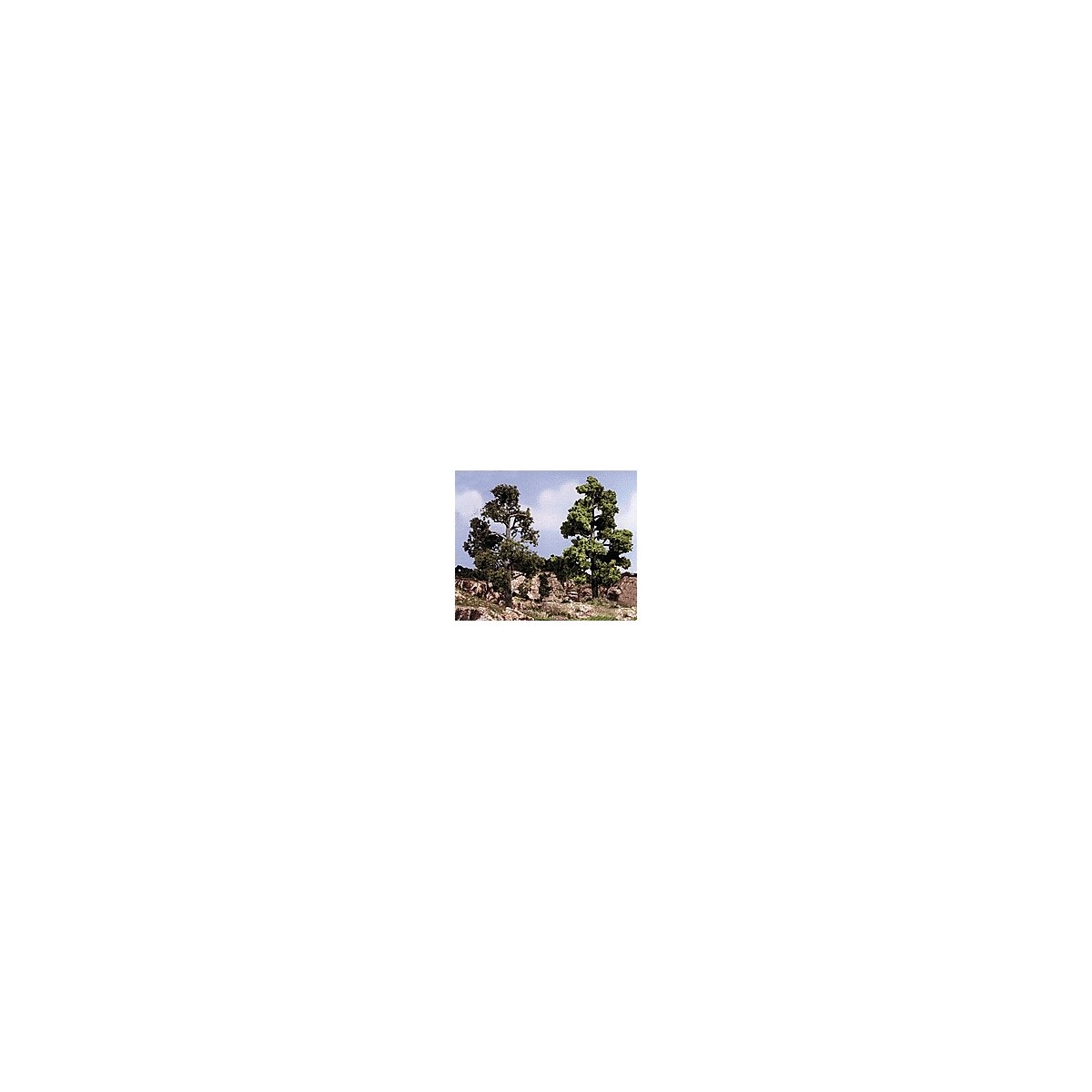 Realistic Trees Kits(TM) - Green Deciduous -- Medium Green - 3 to 7′ 7.6 to 17.8cm Tall, All Scales, Woodland Scenics 1112