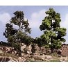 Realistic Trees Kits(TM) - Green Deciduous -- Medium Green - 3 to 7′ 7.6 to 17.8cm Tall, All Scales, Woodland Scenics 1112