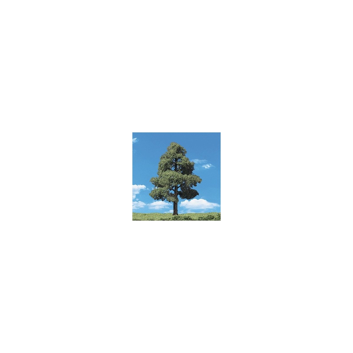 Woodland Classic Trees(R) Ready Made - Sun Kissed -- 6 to 7′ 15.2 to 17.7cm Tall pkg(2), All Scales, Woodland Scenics 3516