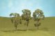 Maple Trees - SceneScapes(TM) -- 3 - 4′ 7.6 - 10.2cm pkg(3), HO, Bachmann Industries 32011