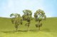 SceneScapes(TM) Layout-Ready Trees -- Maple Trees 2-1/2 - 2-3/4′ pkg(4), N, Bachmann Industries 32111