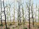 Woods Edge Trees -- Bare pkg(14), HO, Bachmann Industries 32509
