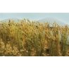 Wheat Stalks pkg(40), All Scales, JTT Miniature Tree 95637