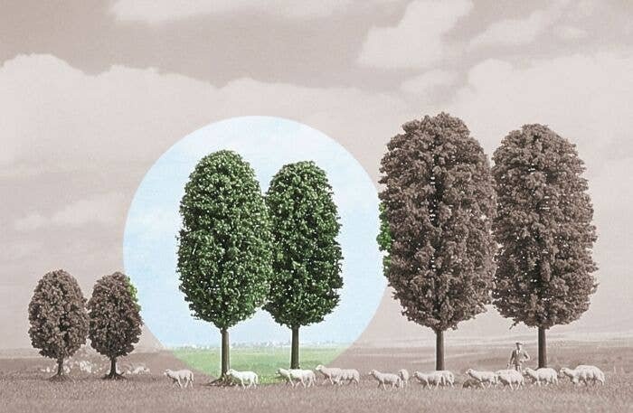 Deciduous Trees -- 3-15/16′ 10cm Tall pkg(2), All Scales, Busch Gmbh & Co Kg 6053