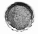 Bottle Cap Sign, S, B.T.S. 689