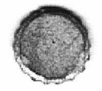 Bottle Cap Sign, S, B.T.S. 689