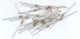 Yeloglo White LEDs -- 1/8′ 3mm pkg(10), All Scales, Miniatronics Corp. 1231010