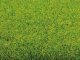 Grass Mat "Spring Meadow"