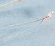 1.5V Micro Bulbs -- With Wire Terminals, All Scales, Cir-Kit Concepts Inc 101015