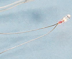 1.5V Micro Bulbs -- With Wire Terminals, All Scales, Cir-Kit Concepts Inc 101015