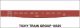 Railroad Decal Set -- Wellsville, Addison & Galeton 52′ Steel Gondola with Fishbelly Sill, HO, Tichy Train Group 10325