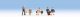Seated Passengers -- Economy Class pkg(6), HO, Noch Gmbh & Co 18116