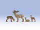 Deer -- Buck, Doe, 2 Fawns, O, Noch Gmbh & Co 17902