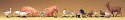 Animals -- Assorted, Small pkg(19), O, Preiser Kg 65326