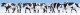 Cows pkg(7) -- Black & White, HO, Noch Gmbh & Co 15725