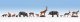 Forest Animals -- pkg(9), TT, Noch Gmbh & Co 45745