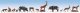 Forest Animals -- pkg(9), N, Noch Gmbh & Co 36745